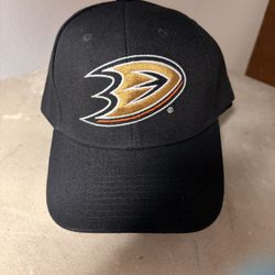 Anaheim Ducks Hat!