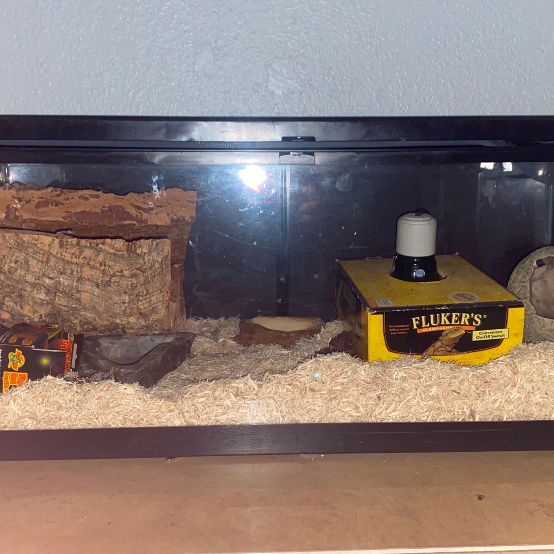 Reptile Tank W Light