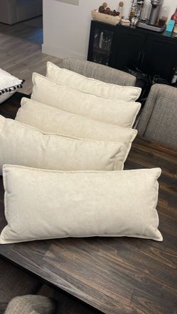 5 Throw Pillows