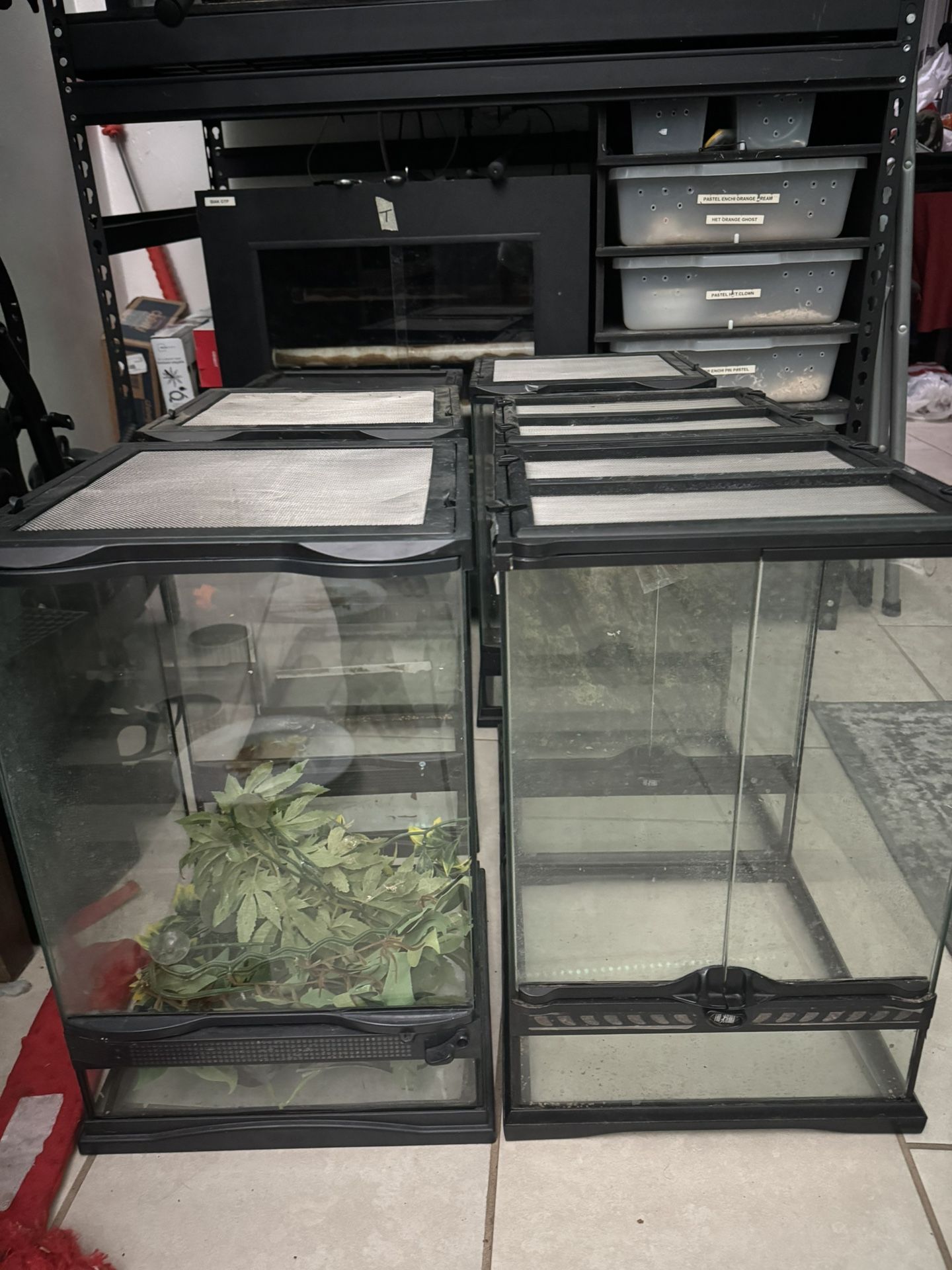 12x12x18 Lil Damage. Take Both For $60