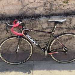 Medium Giant TCR Adv1