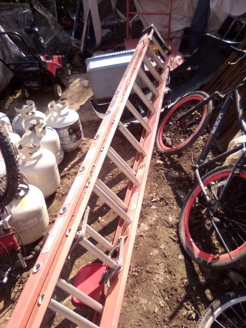 Louisville Ladder 24'