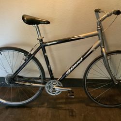 Giant Cypress Single Speed Cruiser Easy To Ride.