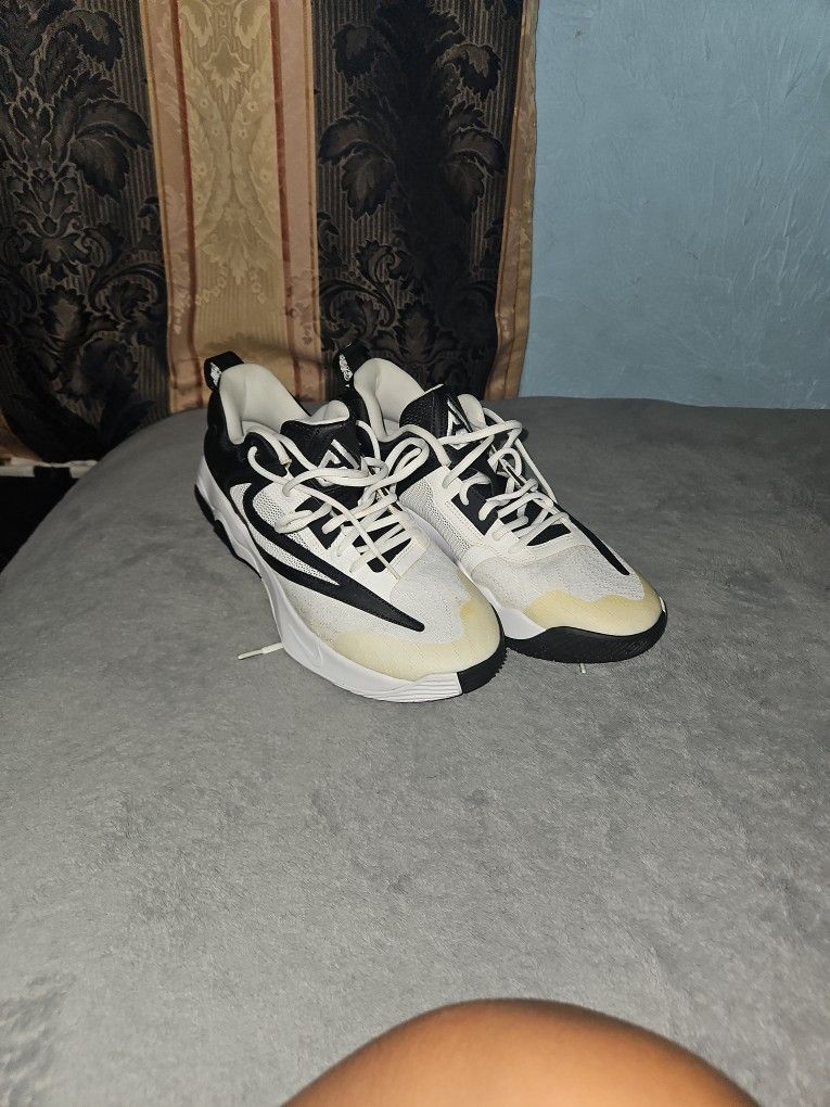 The Nike Giannis Immortality 3 basketball shoes