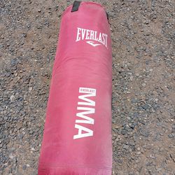 Boxing Bag And Gloves Both For $45