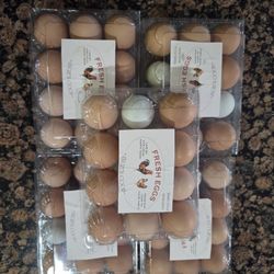 Fresh Eggs 