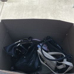 Women’s Purses 