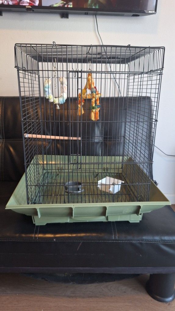 🐦 Bird Cage