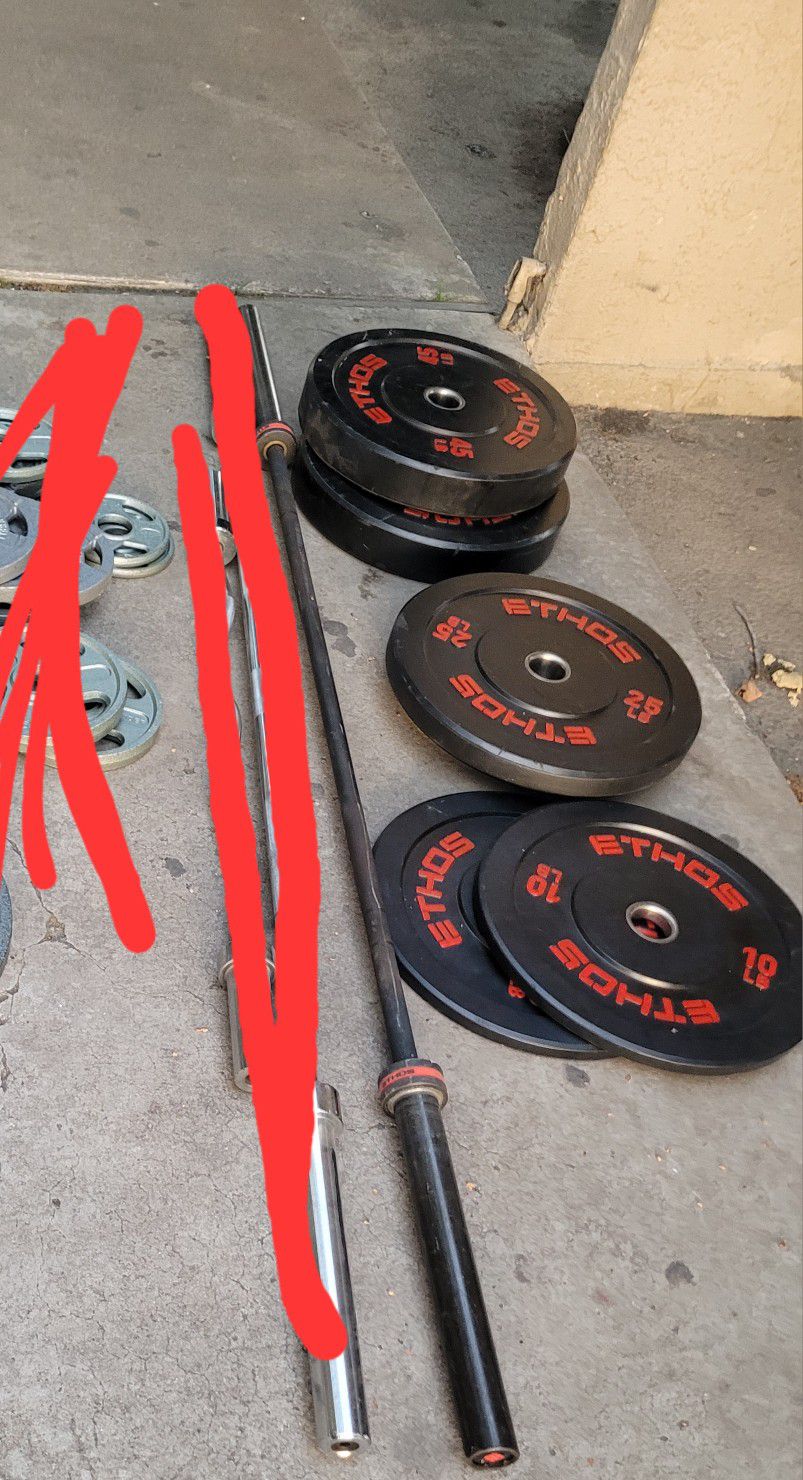 Olympic Weights, Olympic BARBELL, Gym Equipment 