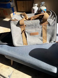Pet bag carrier
