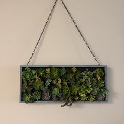 Faux succulent hanging wall art
