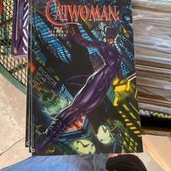 Catwoman Comic
