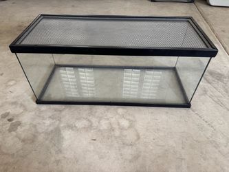 Glass Terrarium with Metal Mesh Lid