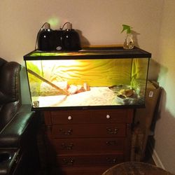 Lizard And Aquarium Heat Lamp Food And Water Bowl Hiding Tree Spray Bottle