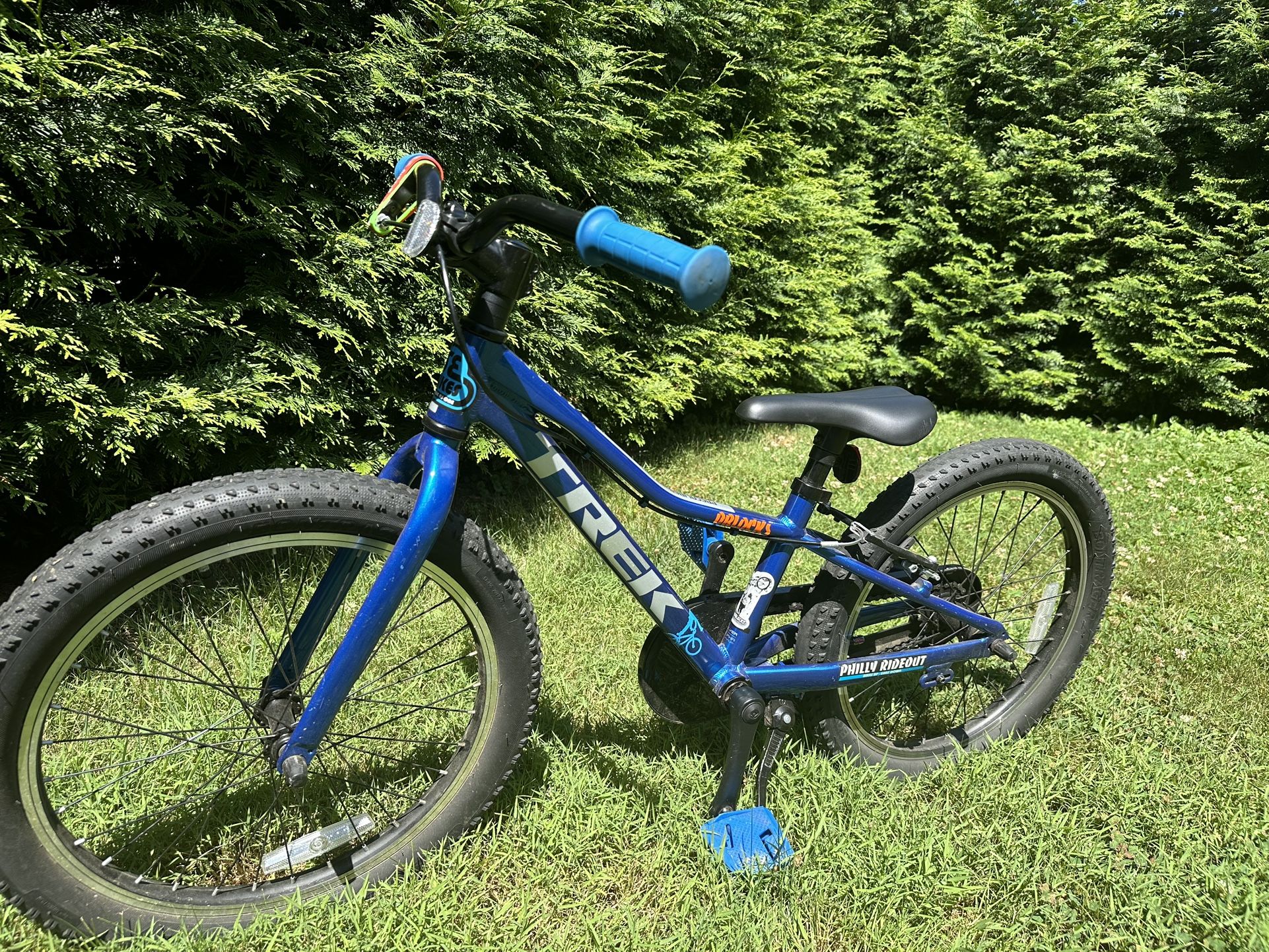 Trek Boy Bike 20 In