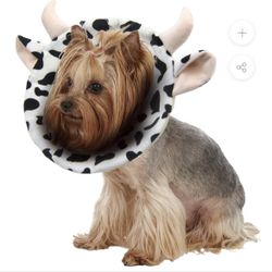 Halloween Costume