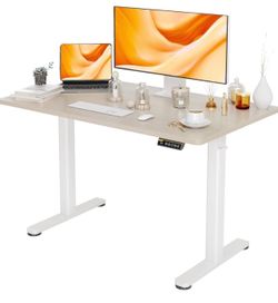 Electric Standing Desk