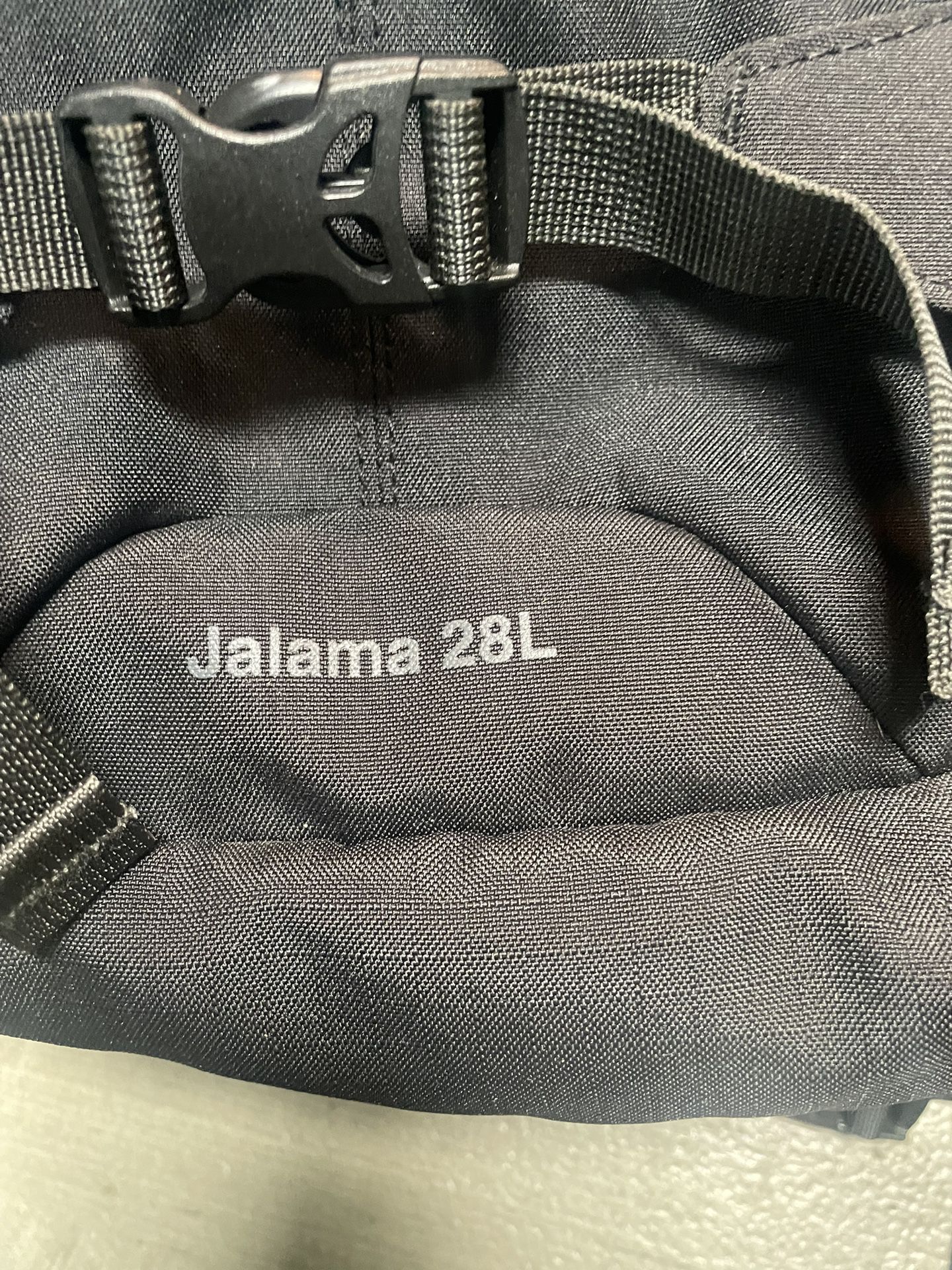  Brand New Patagonia Backpack