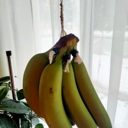 Banana Macrame Decor