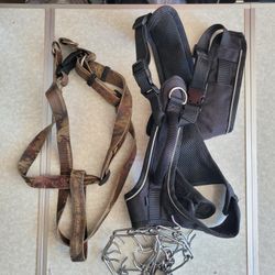 Big Dog Harnesses And Collar