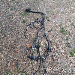 Harness  Ford Explorer  2006