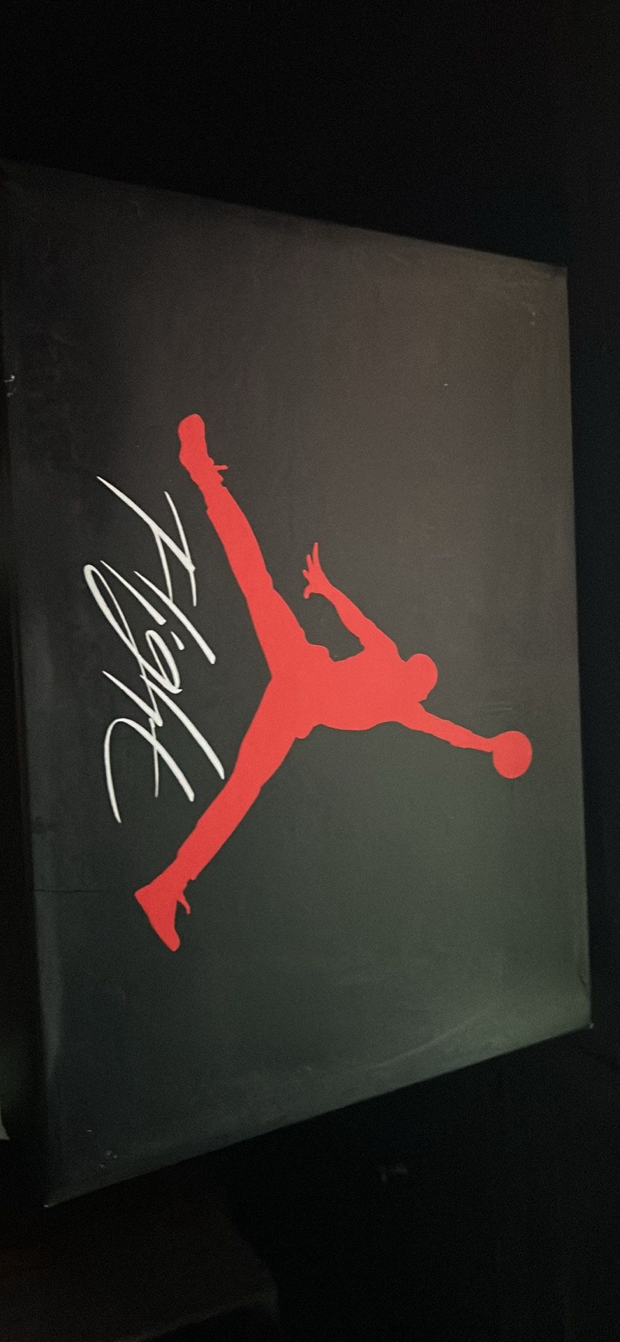 Jordan 4 Red Thunder