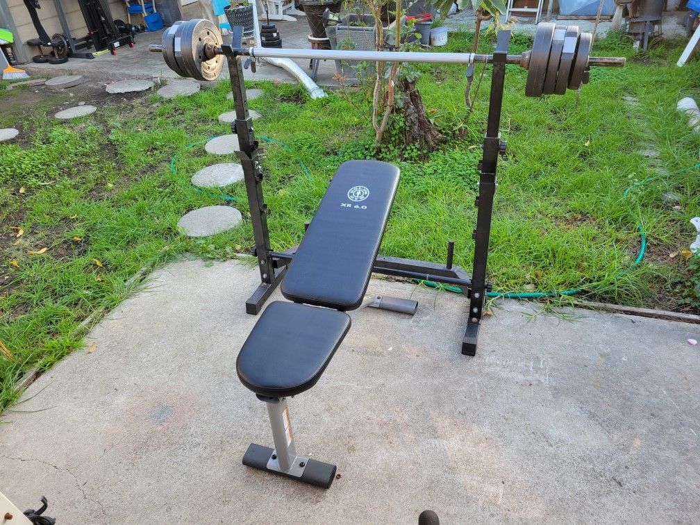 Bench And Weights 