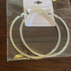 Silver Hoop Earrings 