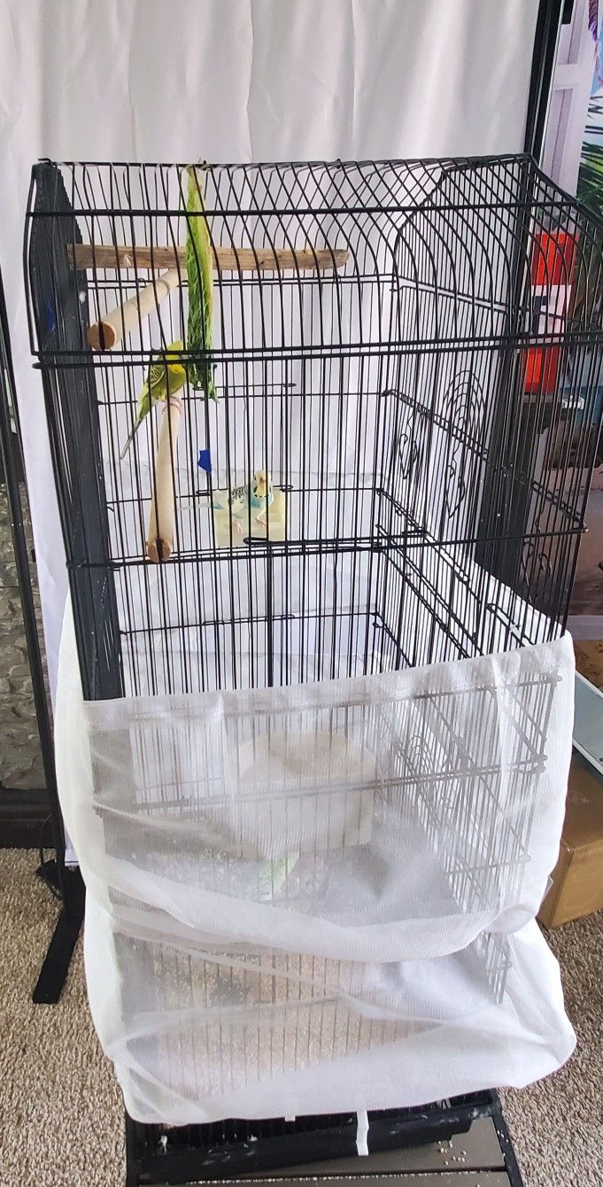 Bird Cage