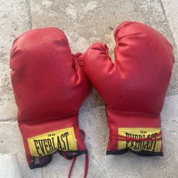 Boxing Gloves 16 Onz , Straps , Three More Sets Of Training Gloves With Mako Headgear  Nice Beginner Set 