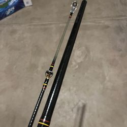 12 Ft Ugly stick for Sale in San Antonio, TX - OfferUp