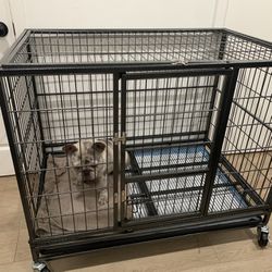 Elevated Dog Crate 