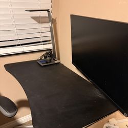 Adjustable Standing Desk With LG Monitor 