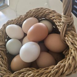 Fresh Farm Eggs