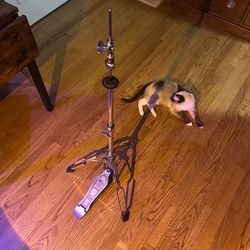 Pearl hi hat stand