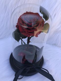 Valentine’s Day preserved Rose