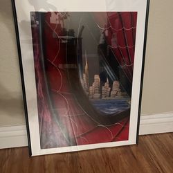 spider-man frame