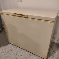 Freezer Works Perfect Like New In Spring Hill
