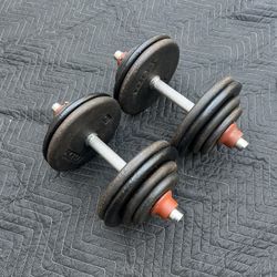 Ajustable Dumbbells 