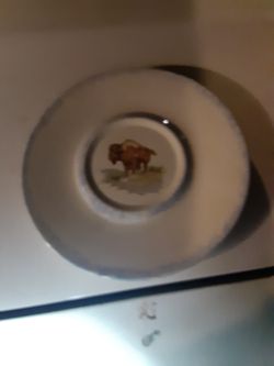 Colleter Plate