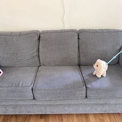 Free sofa