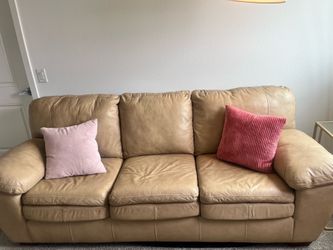 Couches