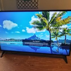 LG 48" Flat screen TV