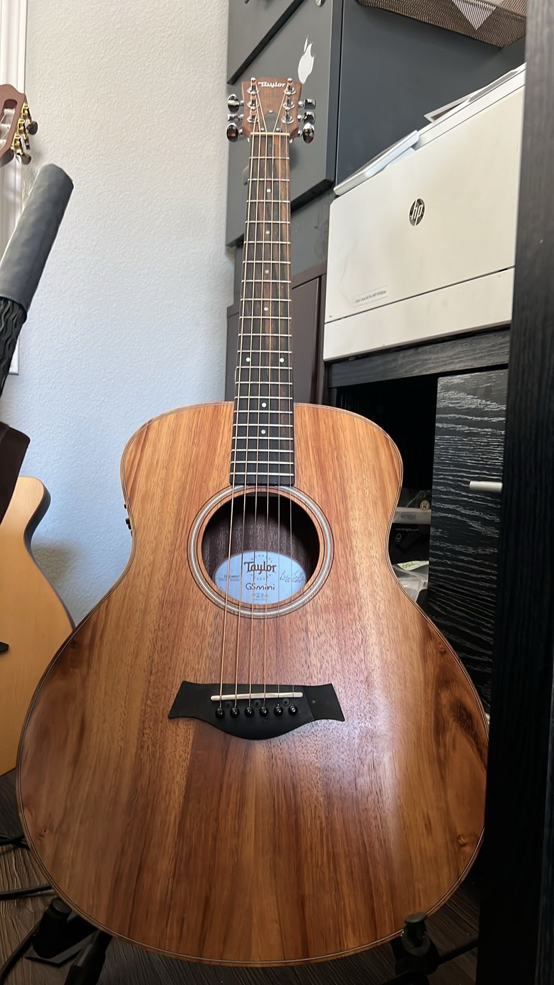 Taylor GS Mini Acoustic/Electric