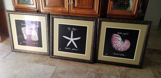 Art , pictures frames .