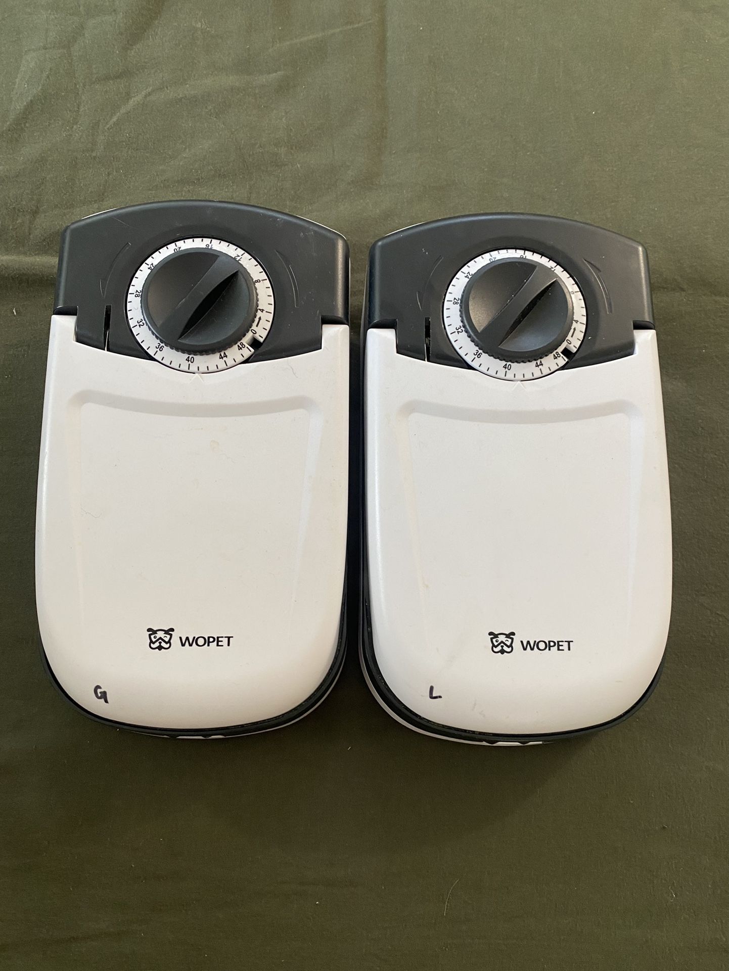 Auto Pet Feeder