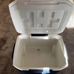 Coleman Cooler