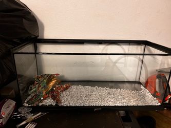 Fish tanks and decors