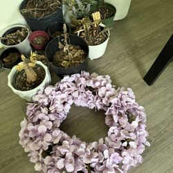 Fake flowers and flower pots | all for $10