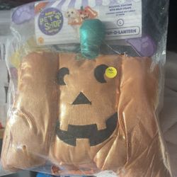 Pup-O-Lantern Pet Dog Cat Jackolantern Pumpkin Halloween Costume